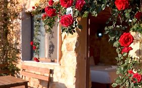 Dana Trail Hotel